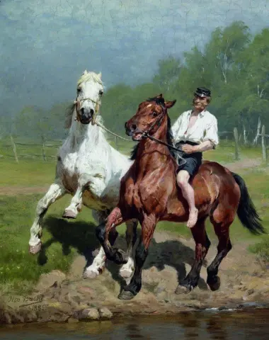 Agricultor cavalga dois cavalos até a água