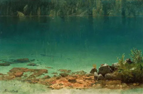湖の風景