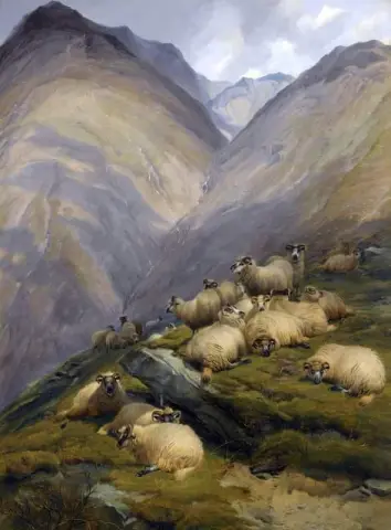 Nelle Highlands 1871