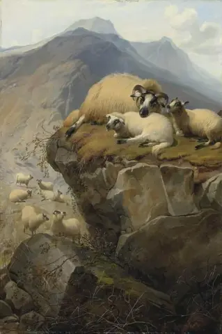 Pecore nell'isola di Skye 1877