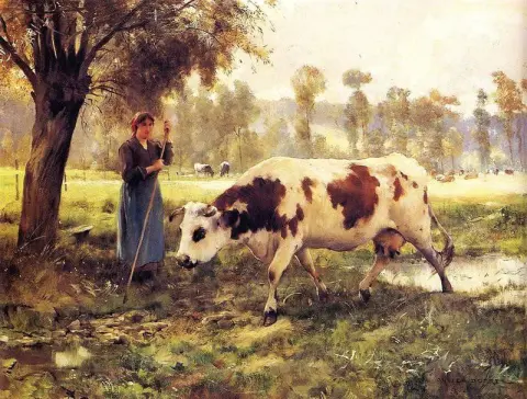 Cows At Pasture