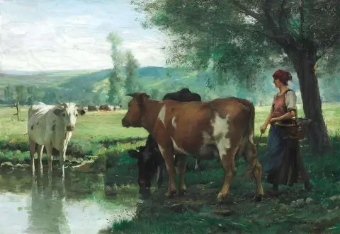 The Cow Herd