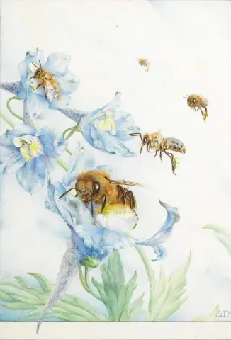 Nel Cuore Del Fiore