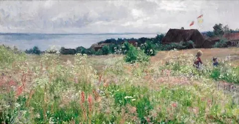 Hoysommer 1893