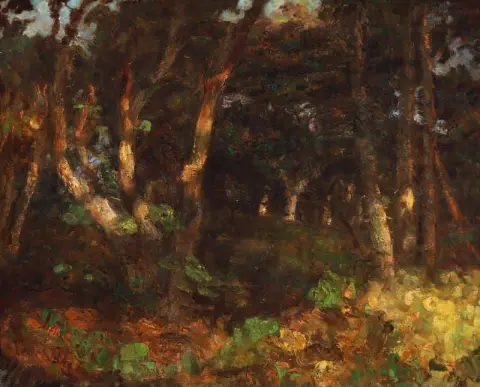 Evening Sun In Skagen Plantation