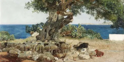 The Carob Tree
