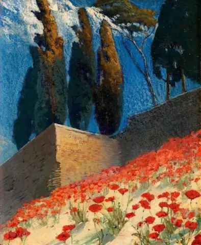 Papaveri Hillside - Francia meridionale
