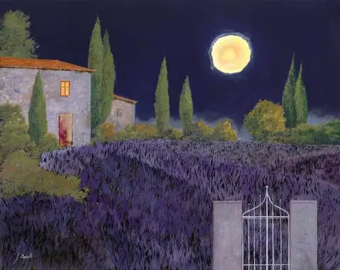 Lavanda di notte