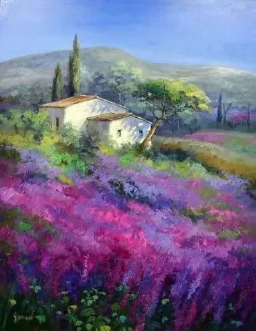 "Campo di lillà nel sud della Francia"