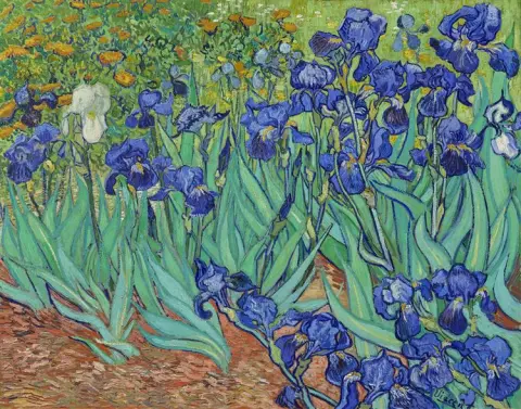 "Irises - 1889"