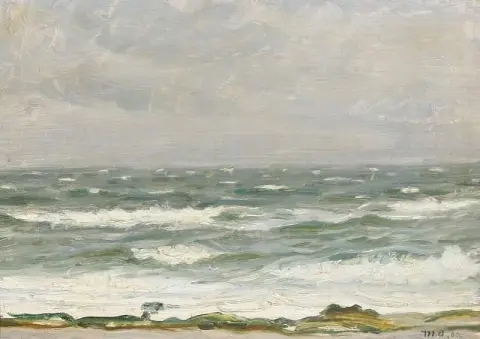 从海岸看波涛汹涌的水域 1902