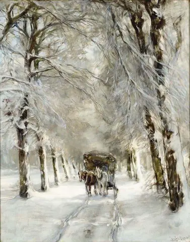 雪路上的一匹马和一辆马车