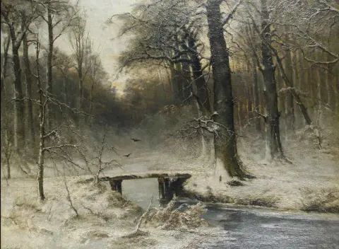 白雪皑皑的林地场景