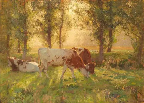 منتصف الصيف كاليفورنيا 1906