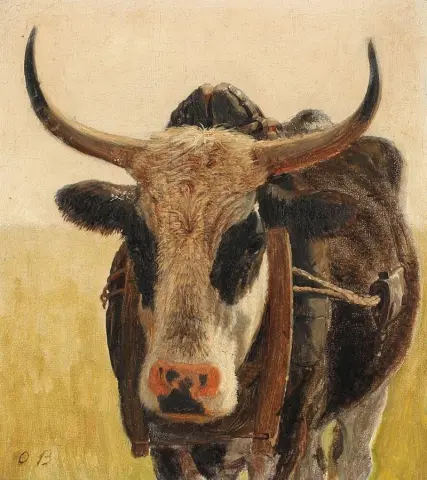 Ein schwarzgefleckter Ochse, ca. 1863