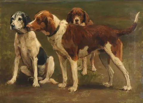 Drei eifrige Jagdhunde