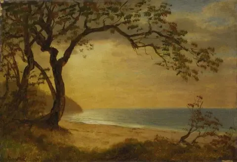 California Coast
