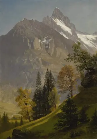 山风景