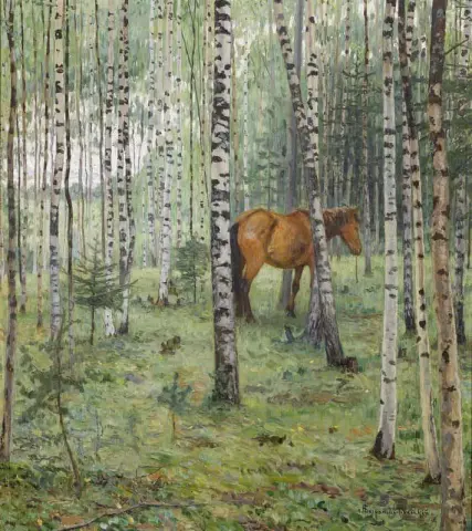 Paard Tussen De Berkenbomen