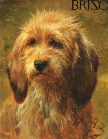 Бризо овчарка 1864 г.