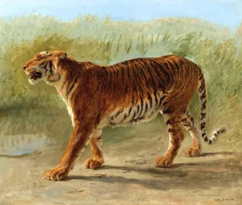 Королевский марш тигра