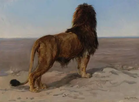 Взгляд вперед