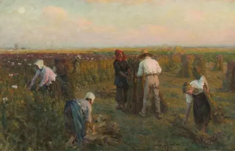 Сбор масличных маков 1896 г.