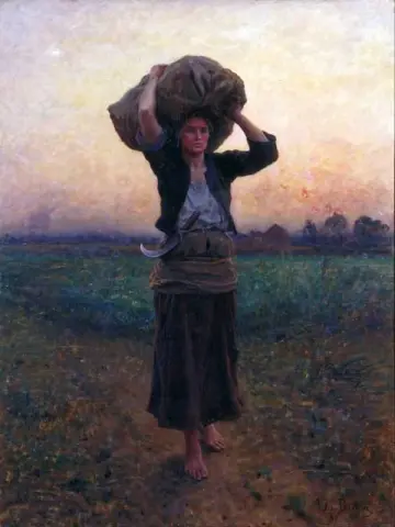 Пастушья звезда 1887 г.