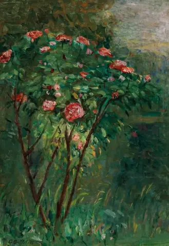 A roseira em flor, cerca de 1884-85