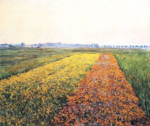 Os campos amarelos em Gennevilliers 1884