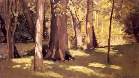 O efeito Yerres da luz, por volta de 1871