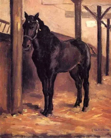 耶雷斯马厩里的黑湾马，约 1871-78 年