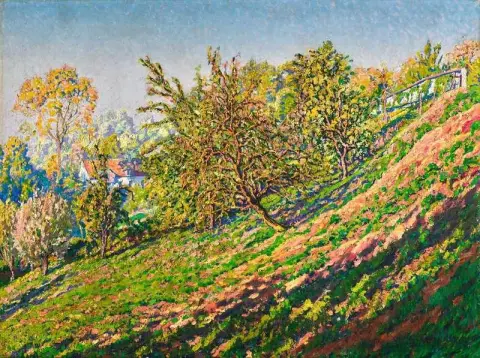 Arbres En Flanc De Colline 1910