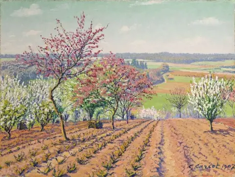 Arbres En Fleurs Dans Un Champ 1907