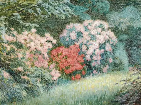 杜鹃花属
