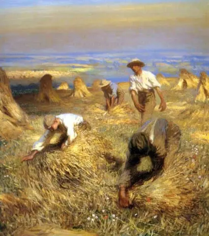 Сбор снопов 1902