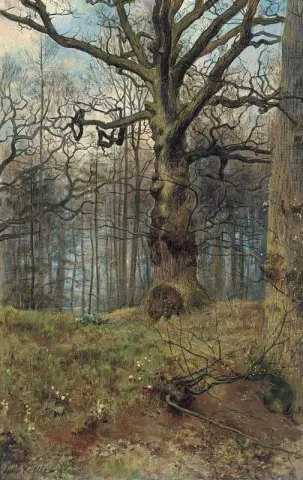 A floresta da primavera
