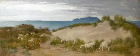 Schapen grazen in de duinen aan een Italiaanse kust