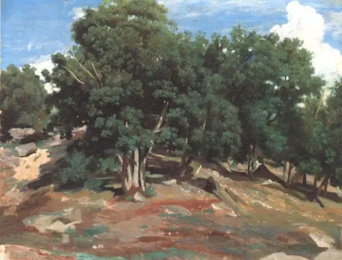 Fontainebleau Black Oaks från Bas Breau
