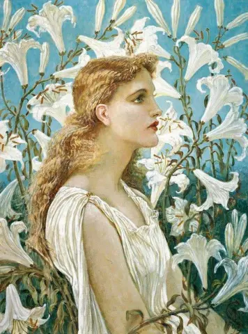 百合花1893