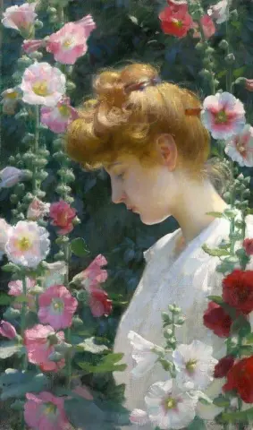 蜀葵与阳光 1902
