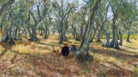 Onder De Olijfbomen