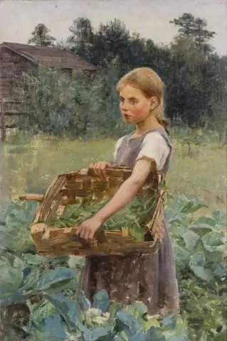 Het koolveld opruimen
