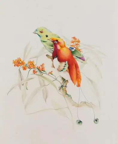 枝にいる熱帯の鳥