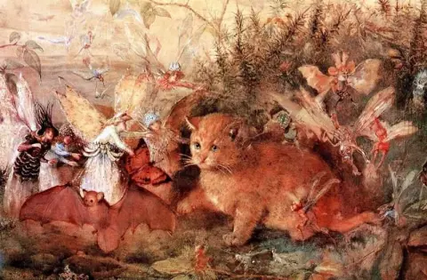 Gato entre as fadas