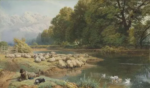 The Shepherd S Watch
