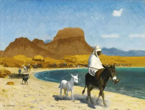 جولفدي د أكانا 1897