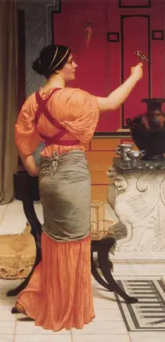 女同性恋与她的麻雀