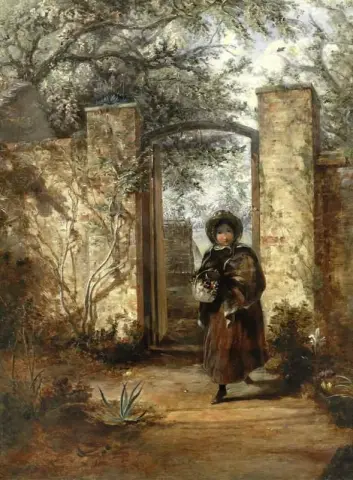 Raccolta di fiori selvatici