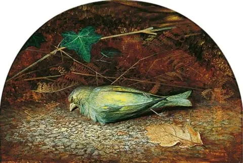 死去的绿翅雀，约 1862-63 年